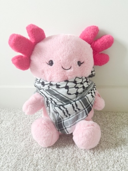 Fundraising Page Image